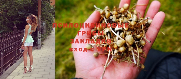 дурь Зеленокумск