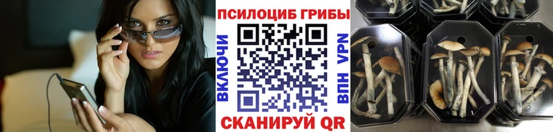 Купить закладки  Лиски  Псилоцибиновые грибы прущие грибы 