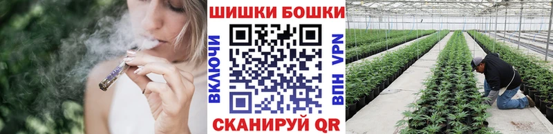Купить где  Лиски  Каннабис гибрид 